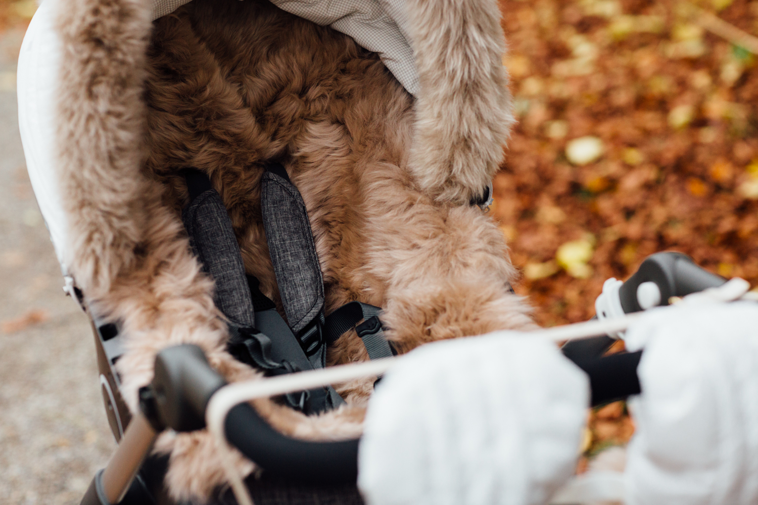 Photo: Andrea Monica Hug