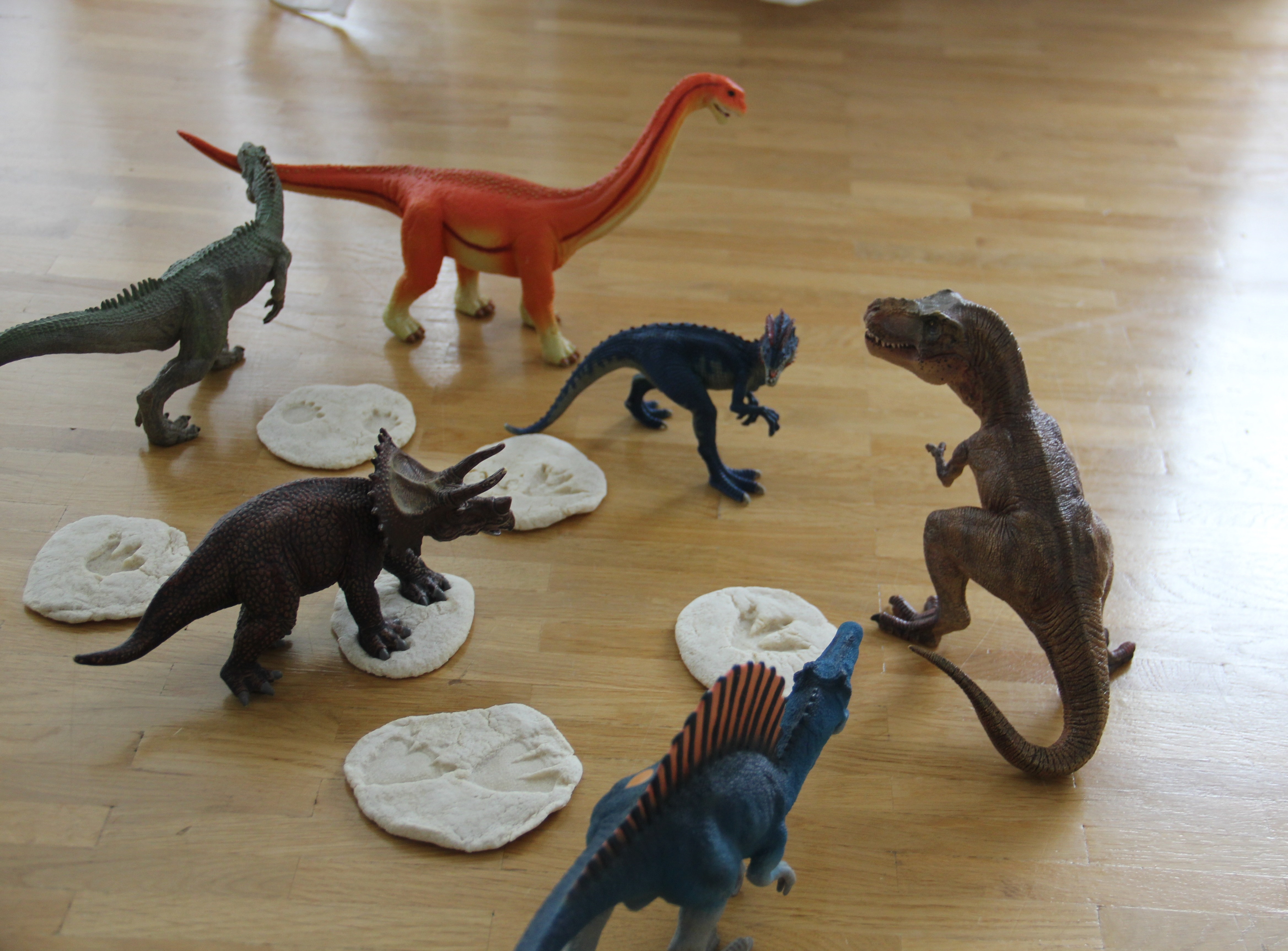 Dinospuren aus Salzteig