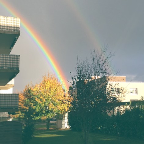 Regenbogen