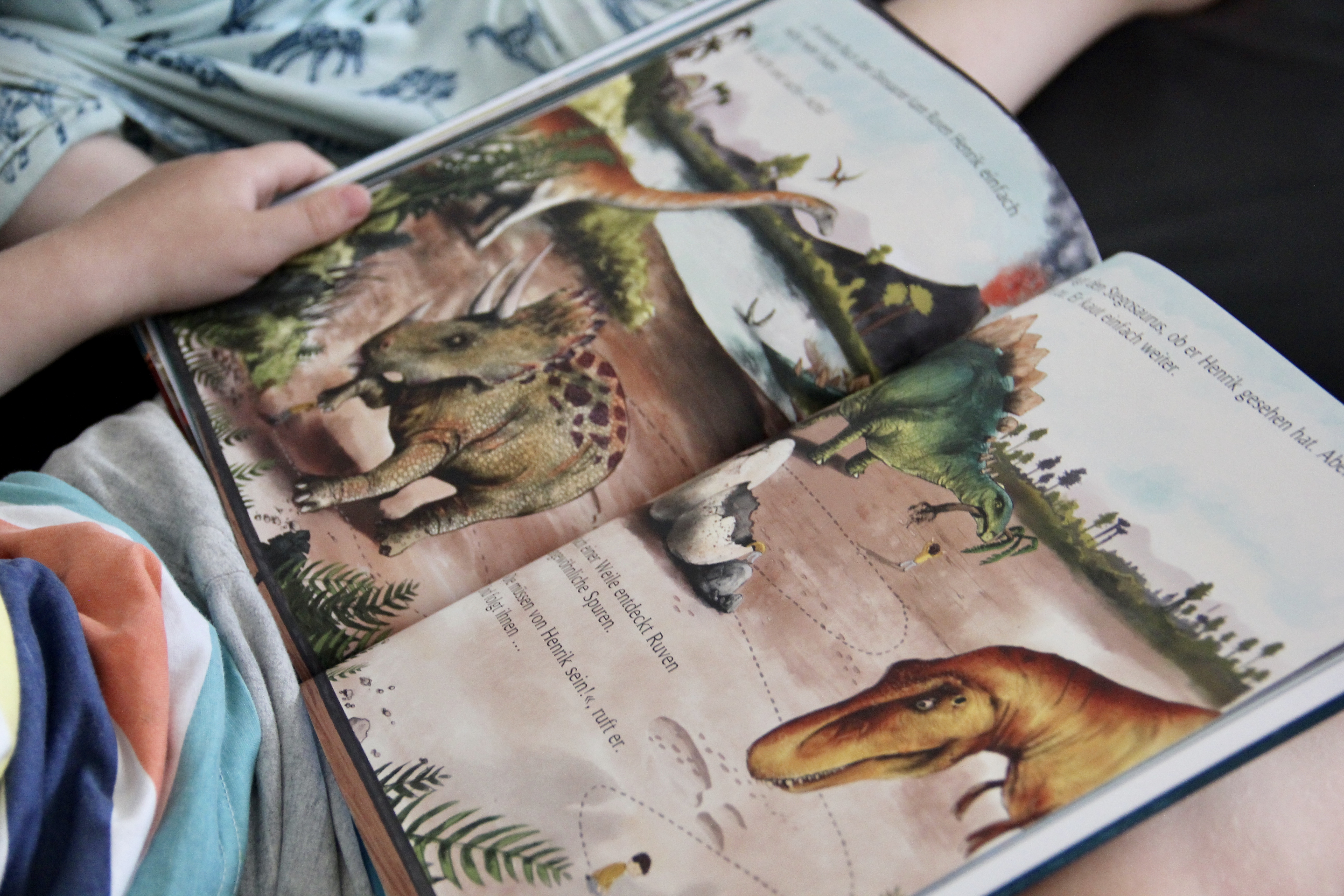 Das beste Versteck Librio