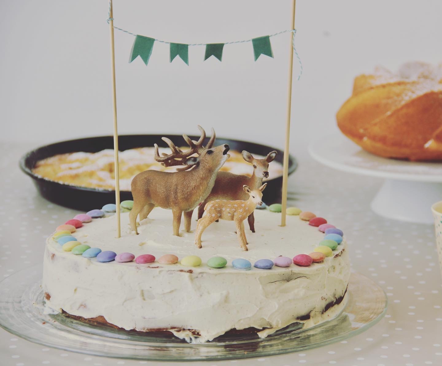 Geburtstagskuchen Smarties Kuchen